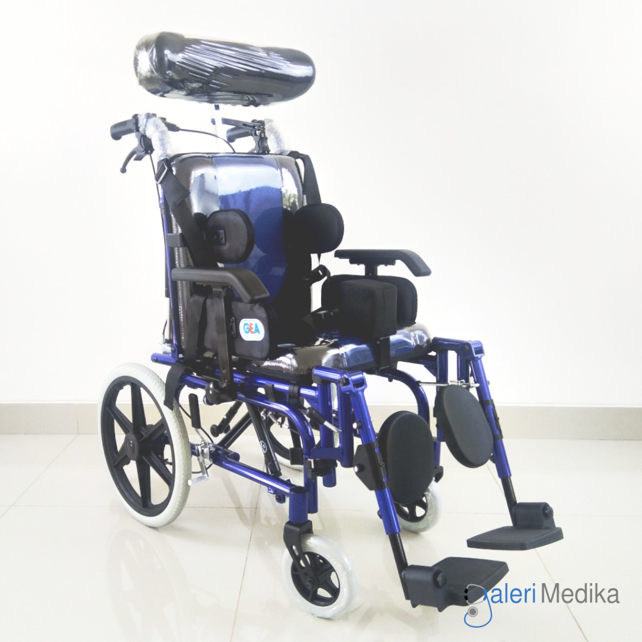 Kursi Roda Cerebral Palsy GEA FS 958 LBHP Galeri Medika