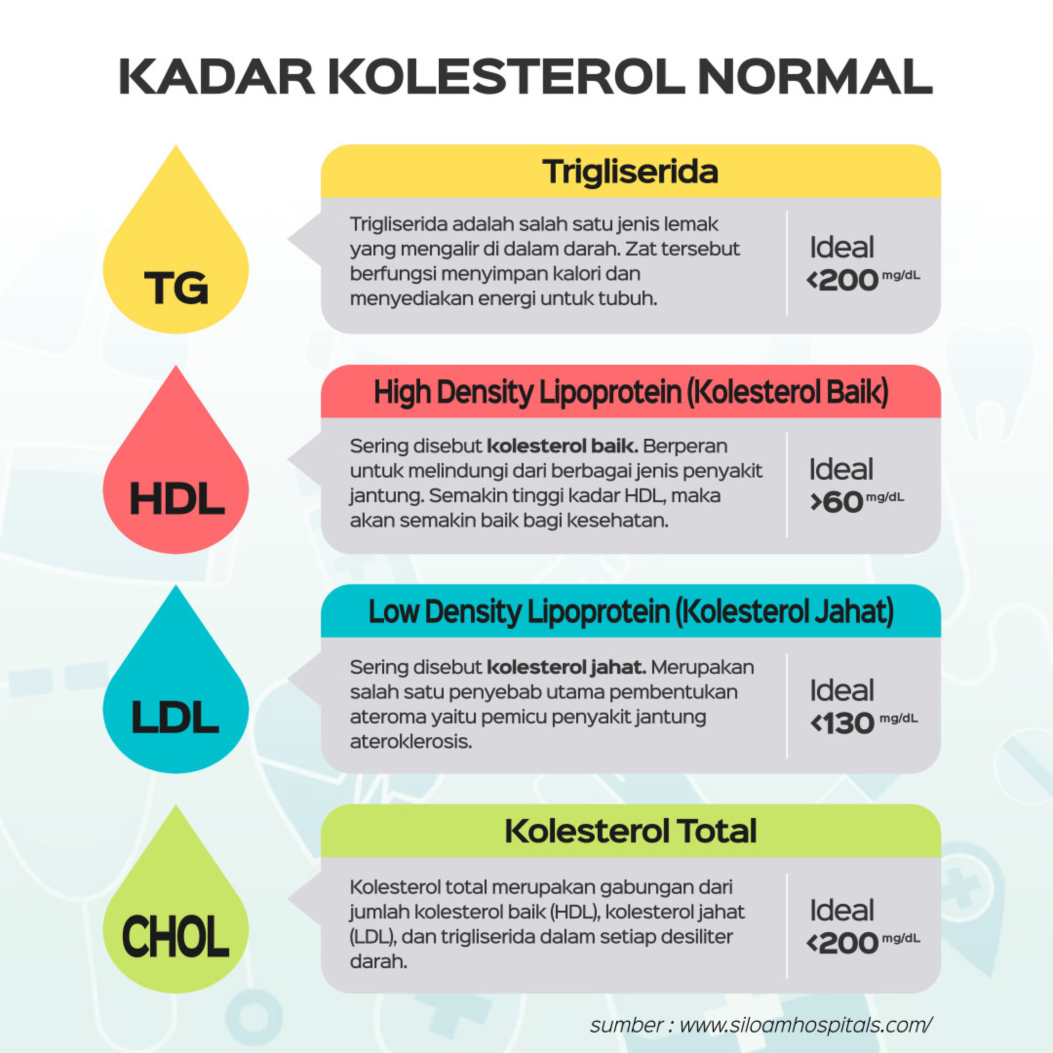 Lipid Pro Meter Alat Ukur Profil Lipid Galeri Medika