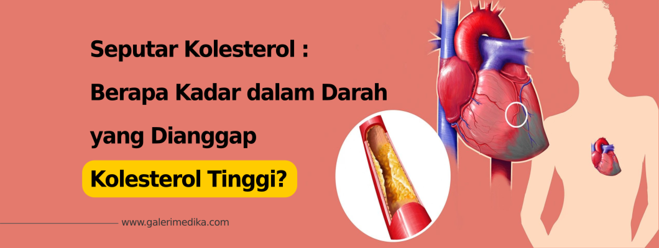 Berapa Kadar Dalam Darah Yang Dianggap Kolesterol Tinggi? | Galeri Medika