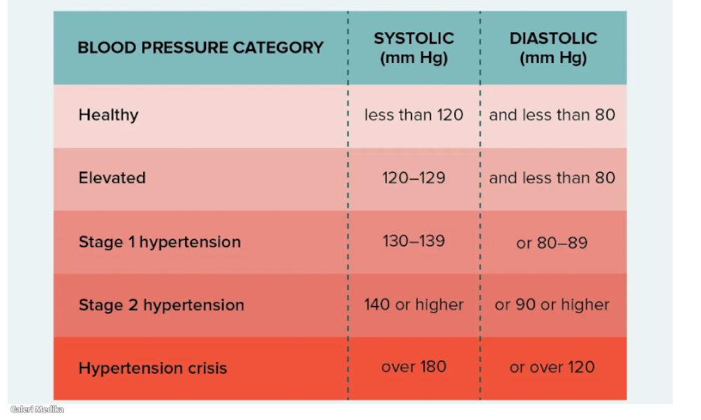 Jenis-jenis Hipertensi dan Tips Menjaga Tekanan Darah Tetap Normal 